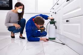 Best Fumigation Services  in Bonneauville, PA